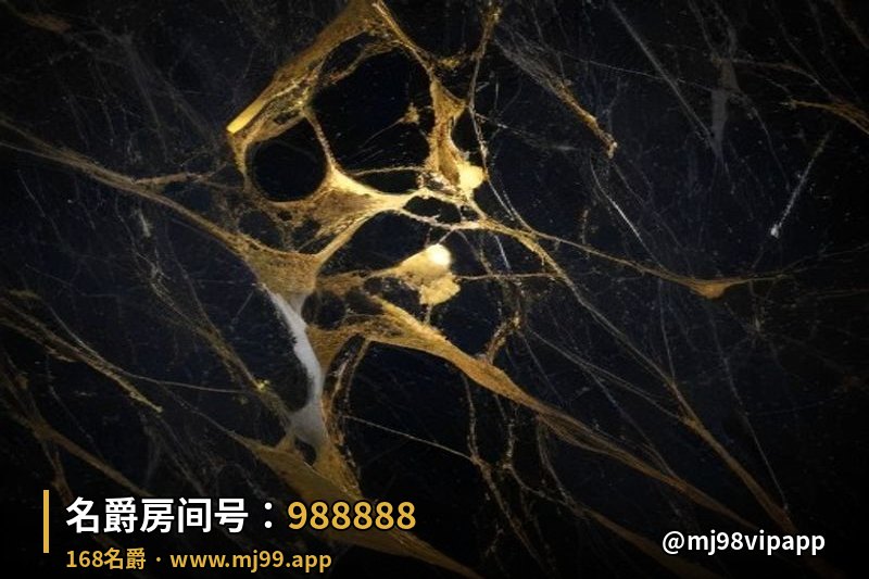 金牌房间号98888